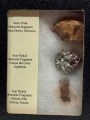 3 meteor stony iron morocco campo sikkote-alin siberia 100